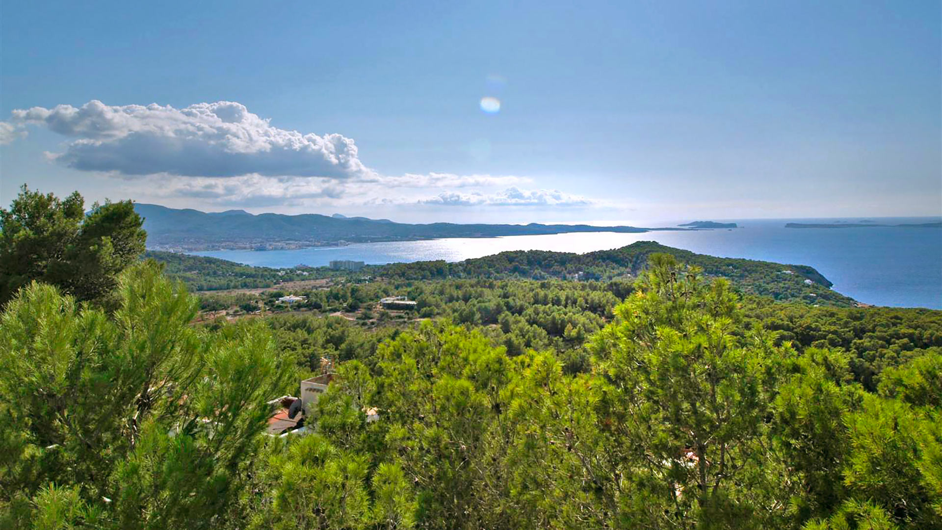 Incredible views from Villa Trillo in Ibiza of the trees and sea