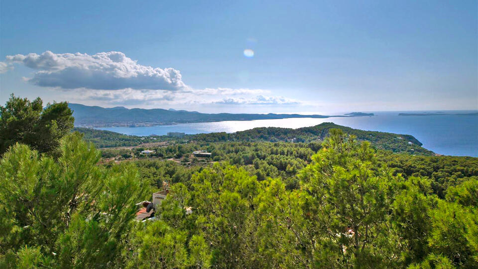 Incredible views from Villa Trillo in Ibiza of the trees and sea