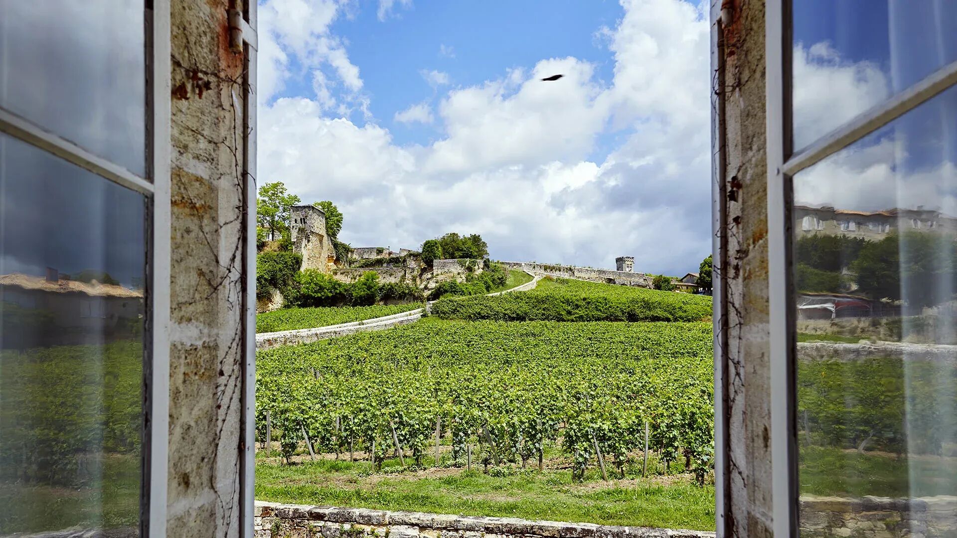 Villa Dans Les Vignes Gallary Image 6