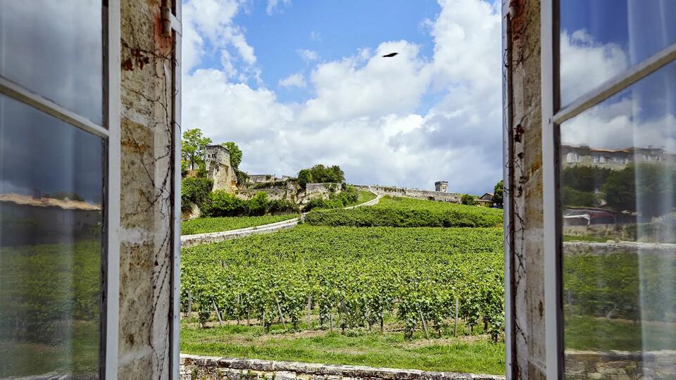 Villa Dans Les Vignes Gallery Image 6