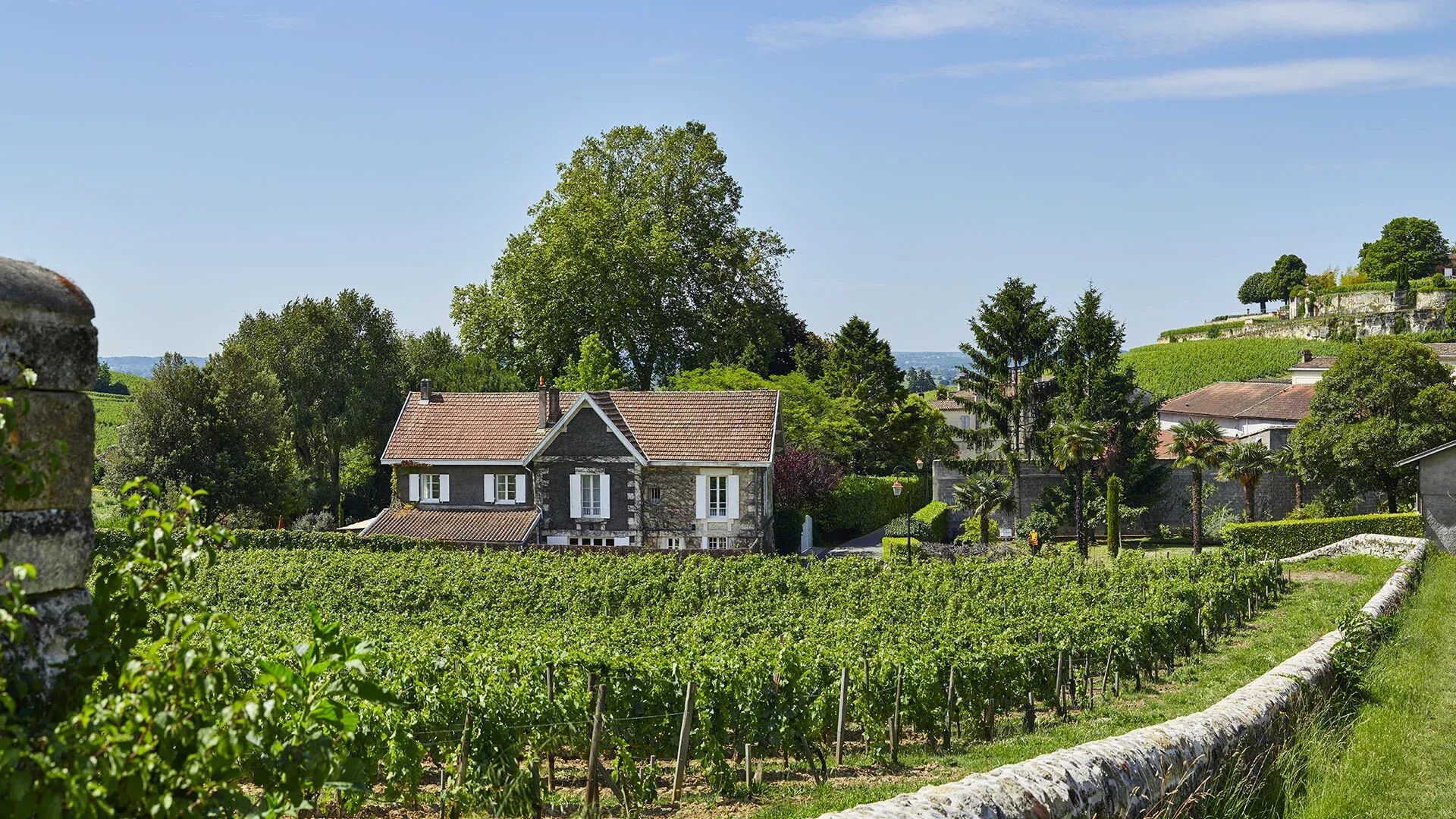 villa-dans-les-vignes-image-5
