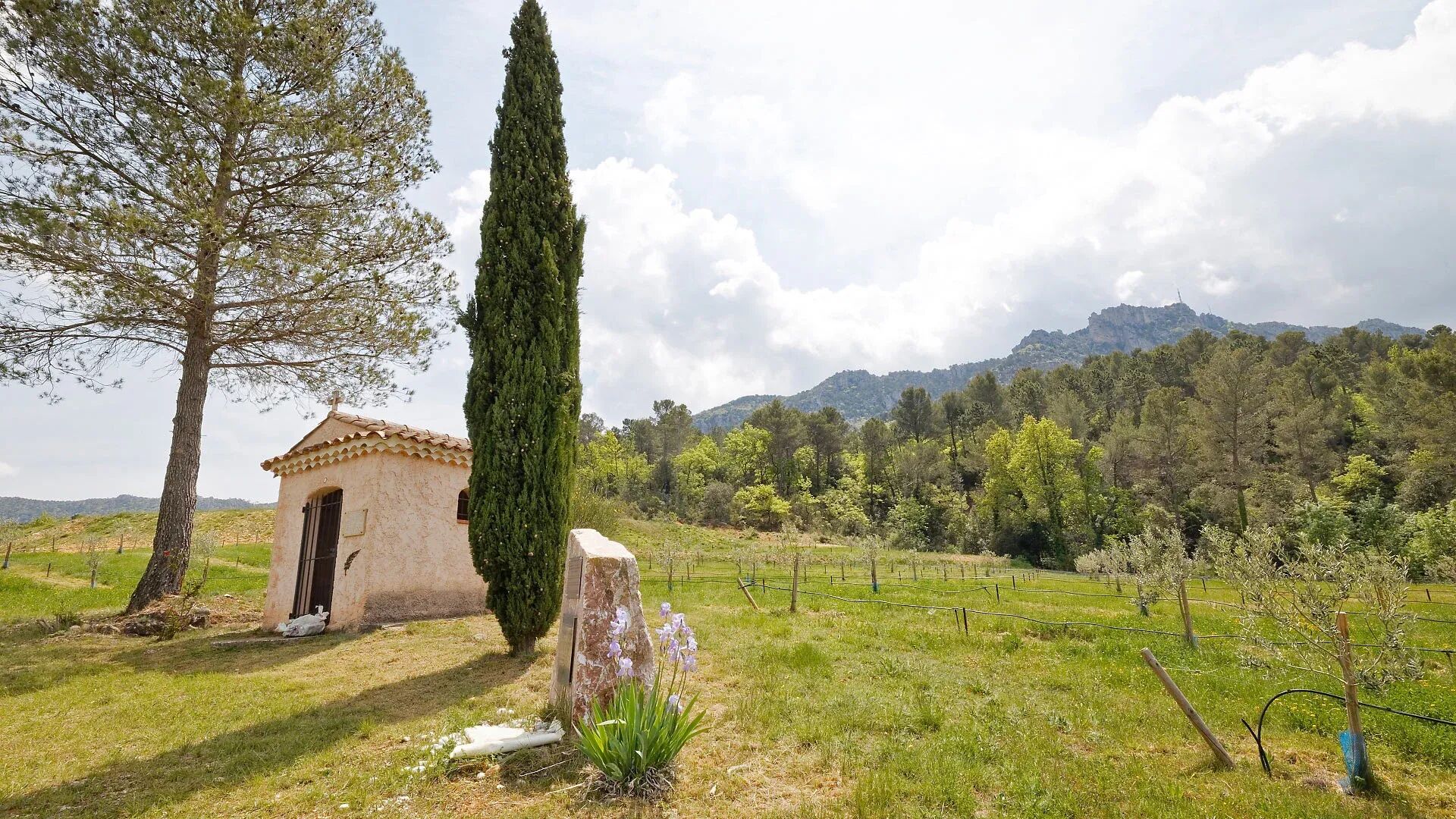 Villa Enago Gallary Image 5