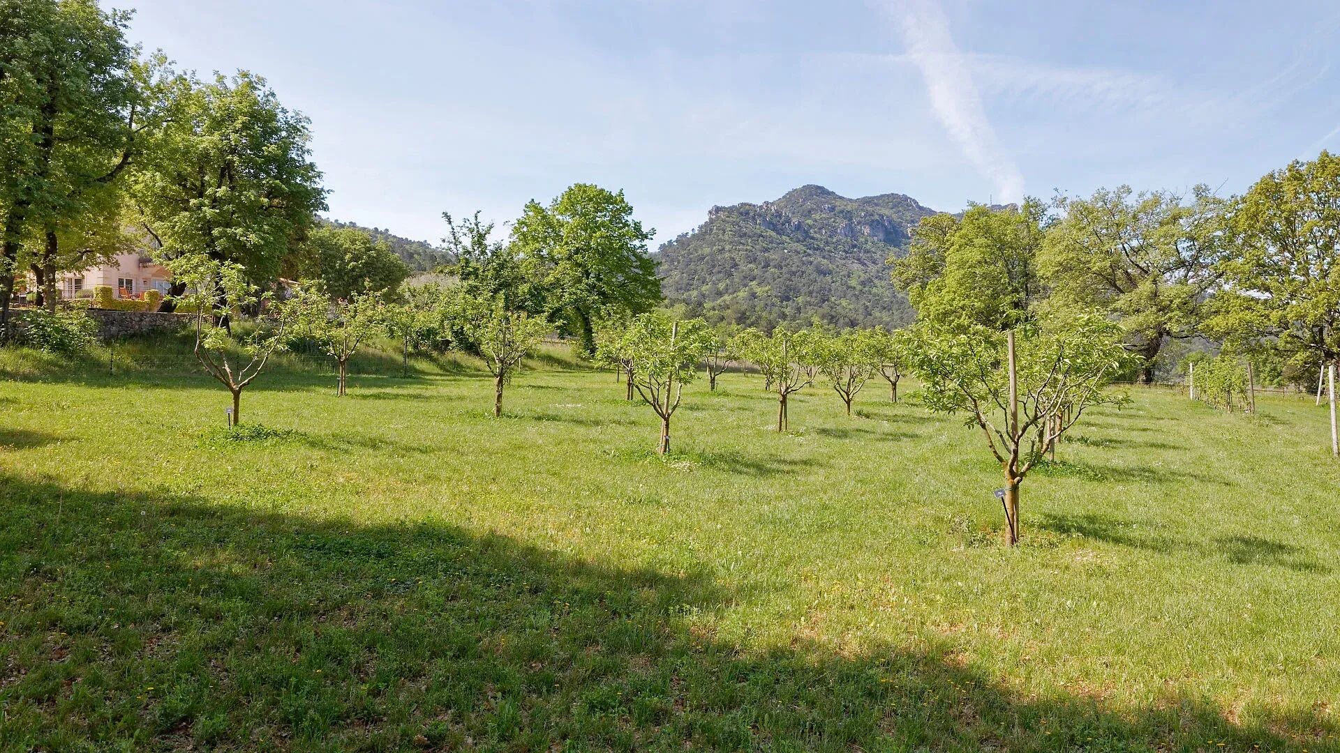Villa Enago Gallary Image 5