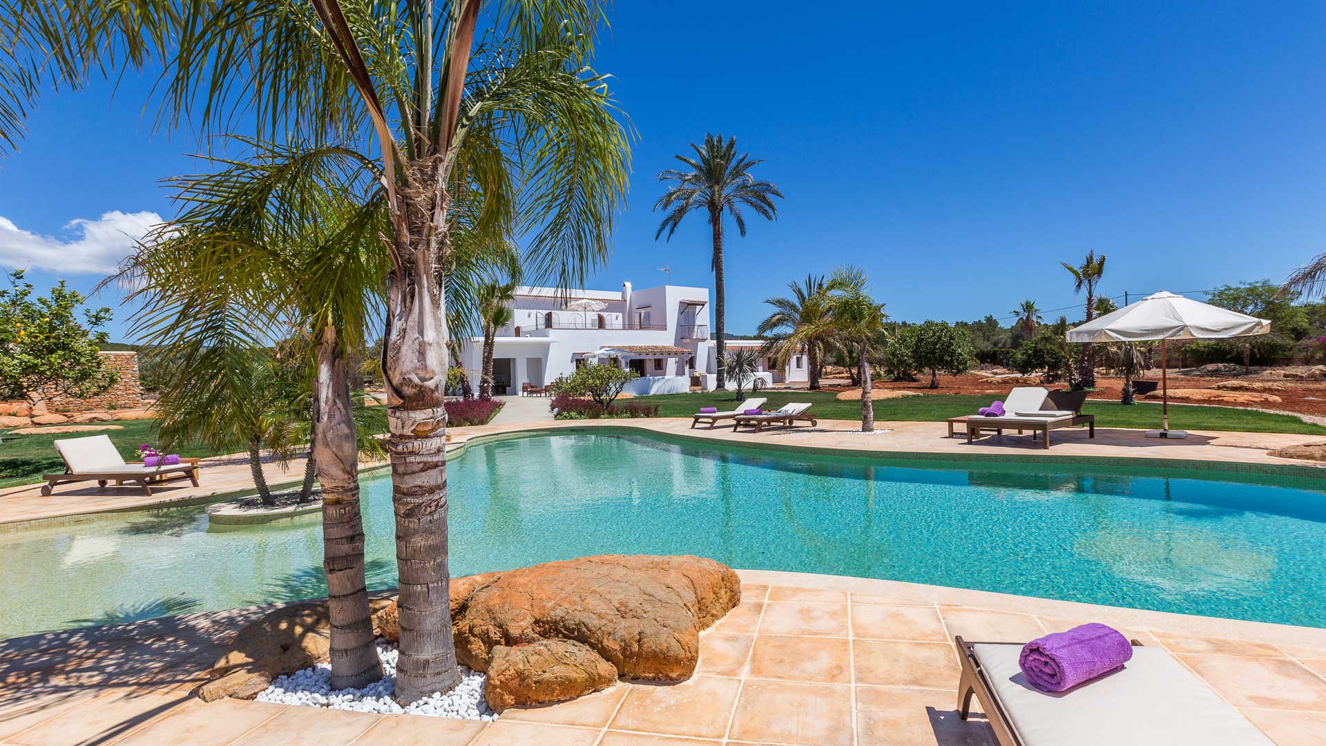Poolside at Villa Es Canar in Ibiza with sunloungers for soaking up the sun and palm trees