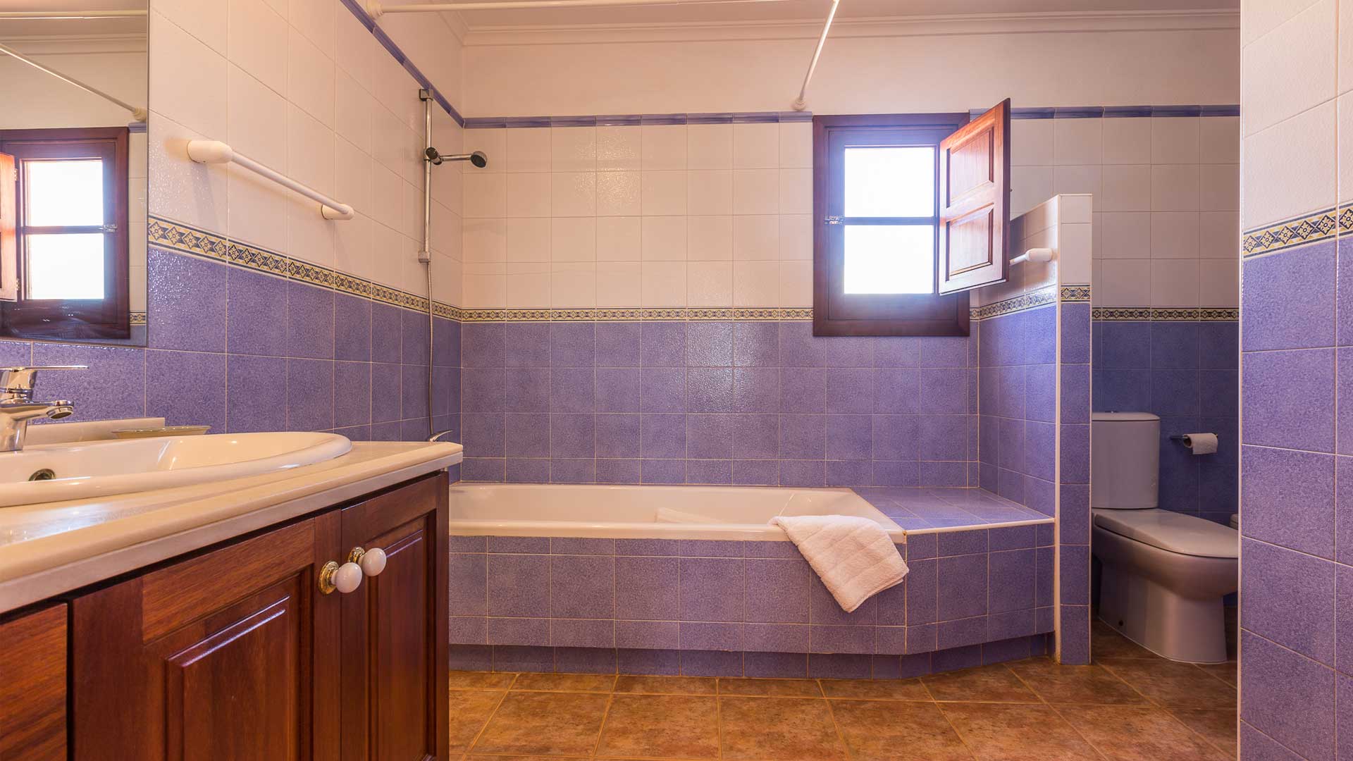 Blue and white tiled bathroom in Villa Es Canar in Ibiza
