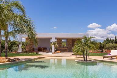 Beautiful lagoon style pool at Villa Es Canar in Ibiza with various palm trees