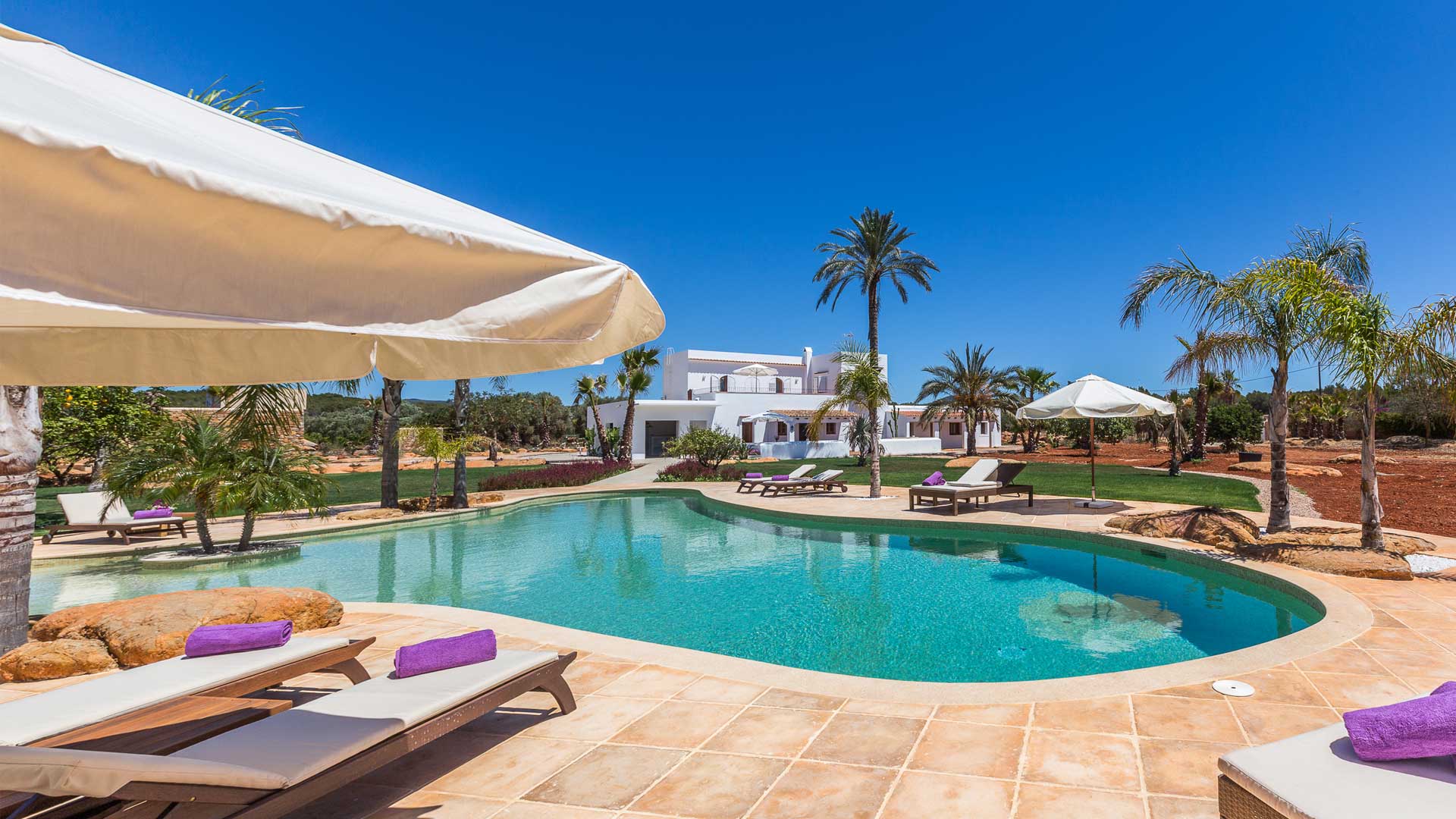 Sunbeds around the lagoon style pool at Villa Es Canar in Ibiza