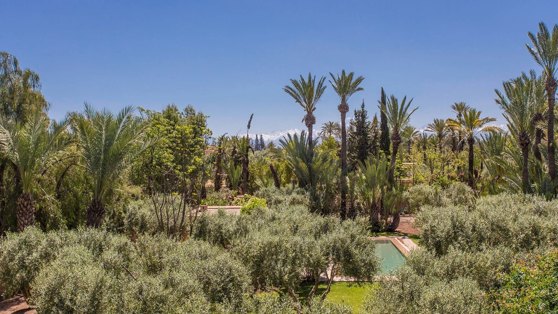 Villa Essaada El Majal Gallary Image 6