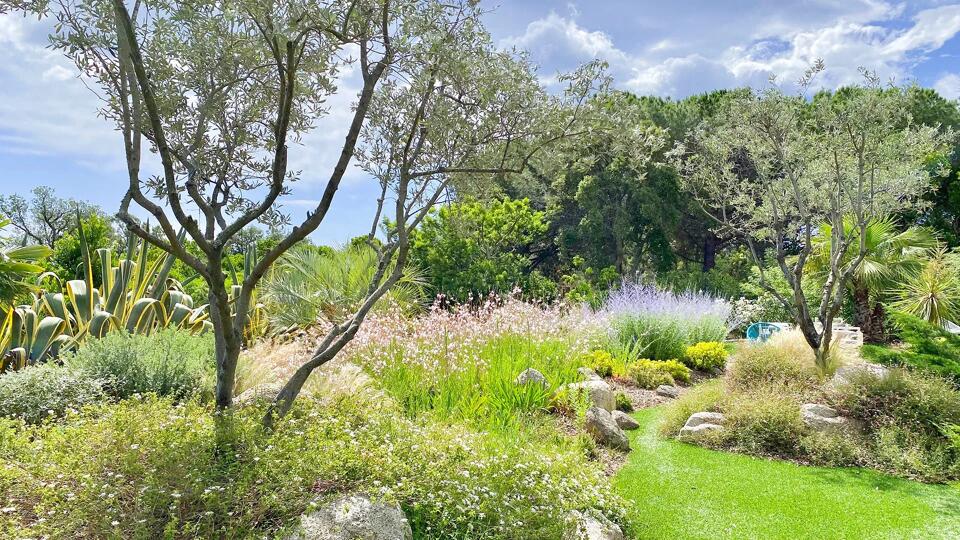 Villa Fleur Gallery Image 6