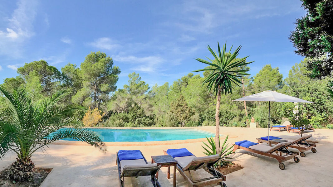 The swimming pool with sunloungers surrounding it amongst the trees at Villa Garroba in Ibiza