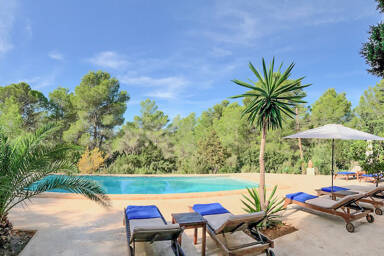 The swimming pool with sunloungers surrounding it amongst the trees at Villa Garroba in Ibiza