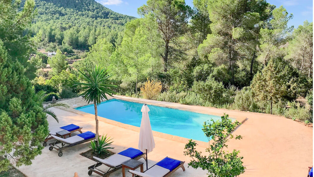 Swimming pool with views of the tall trees in Ibiza at Villa Garroba