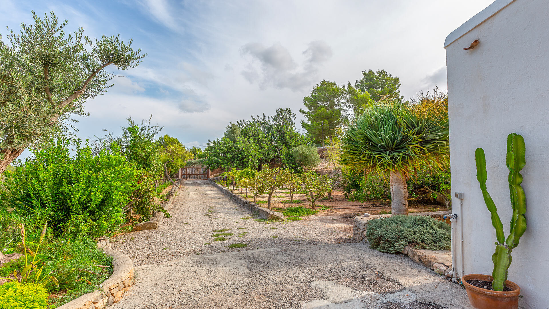 Beautifully manicured gardens from Villa Guerxo in Ibiza