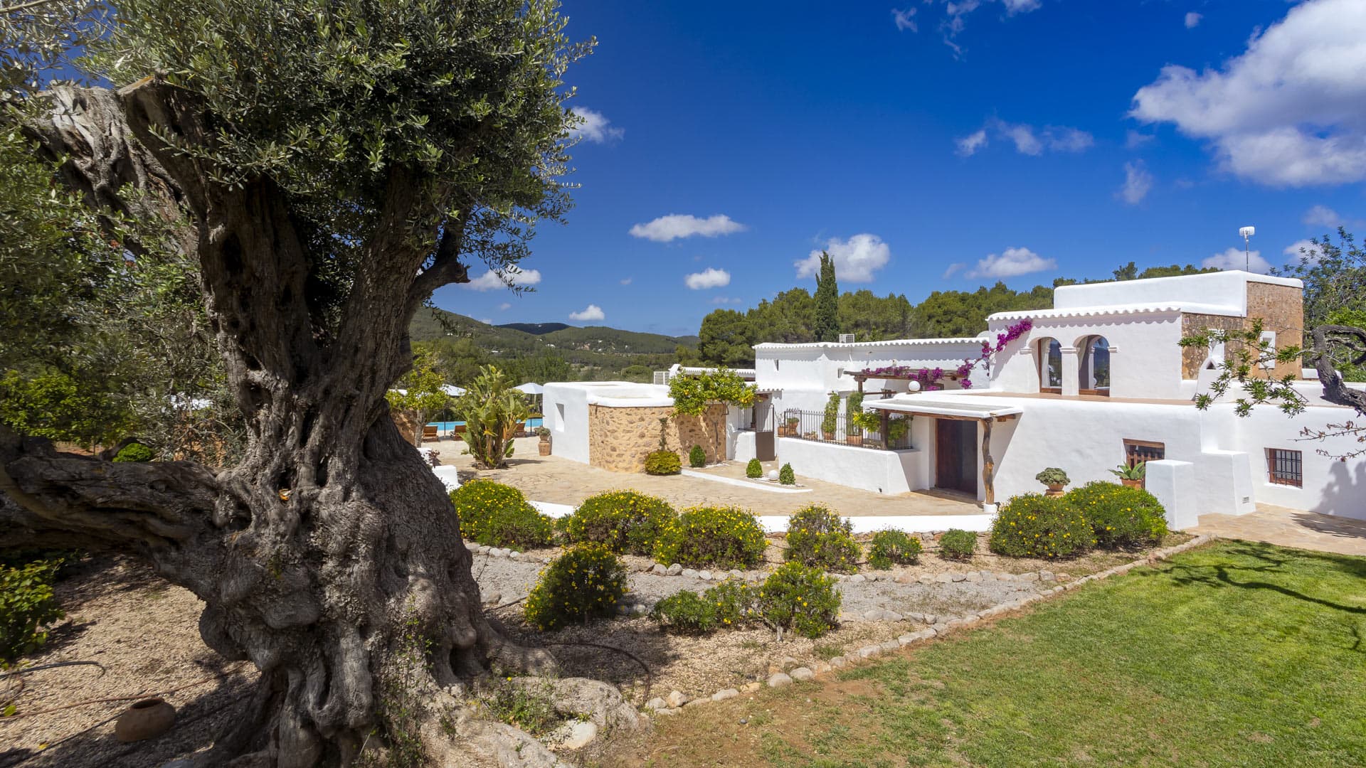 villa-ibicenco-image-6