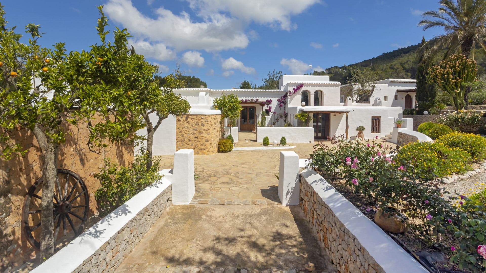Villa Ibicenco Gallary Image 5