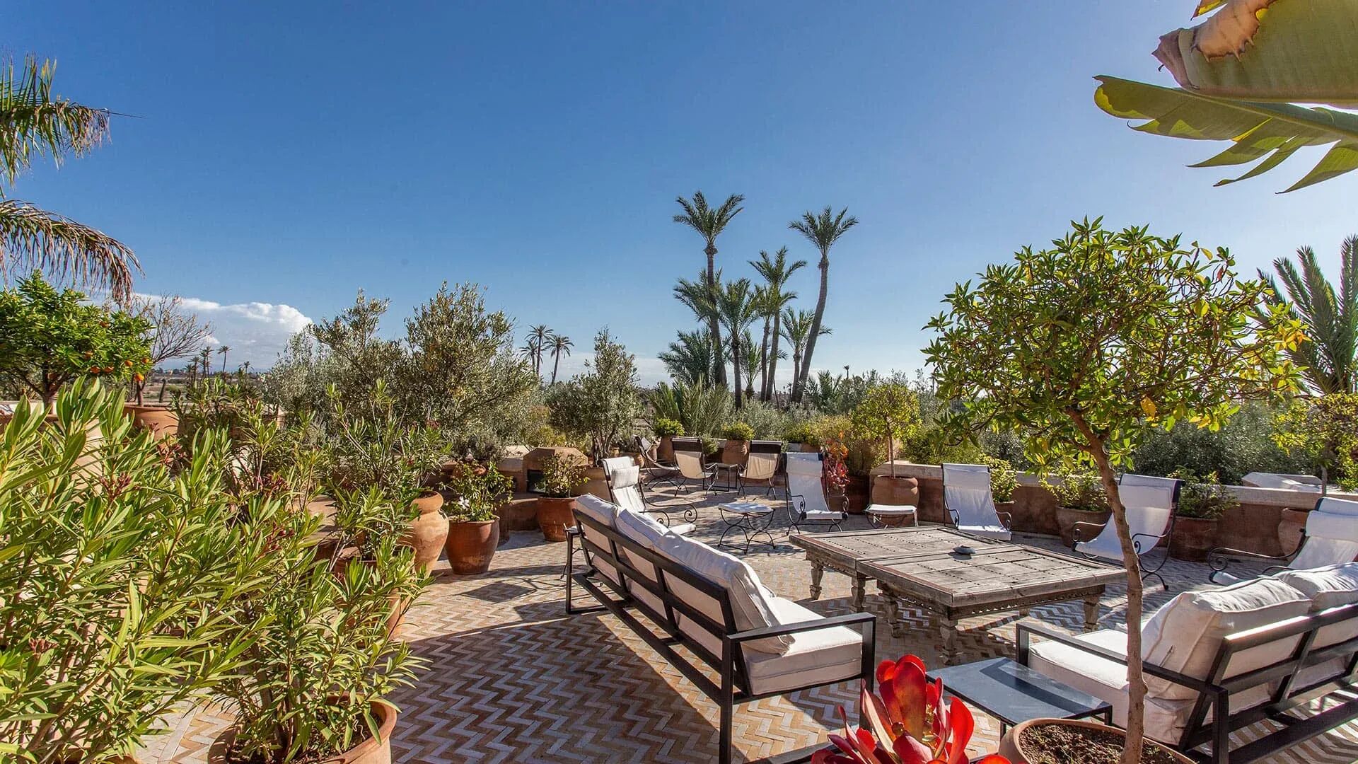 villa-jacaranda-image-9