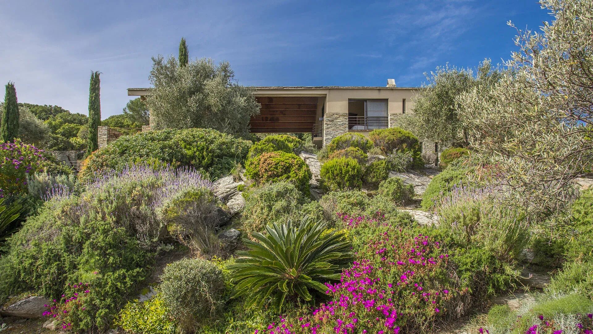 Villa Jasmin Gallary Image 6
