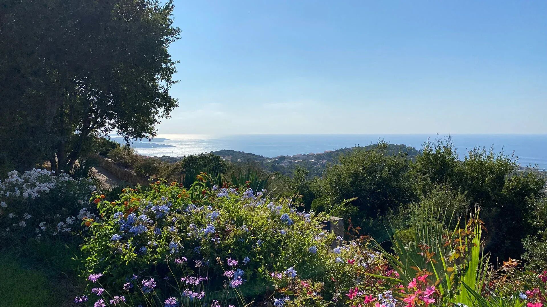 Villa Lesia Gallary Image 1