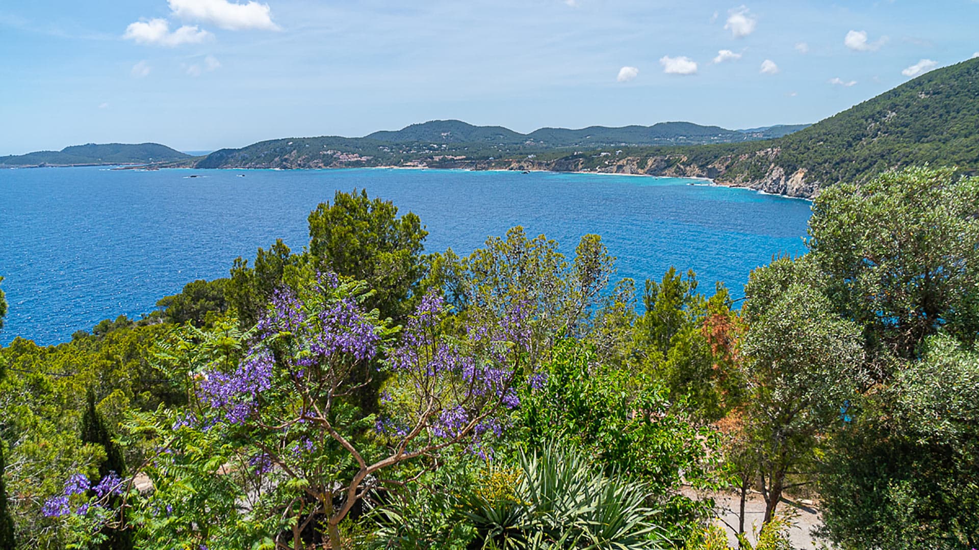 Villa Orizonia in Ibiza