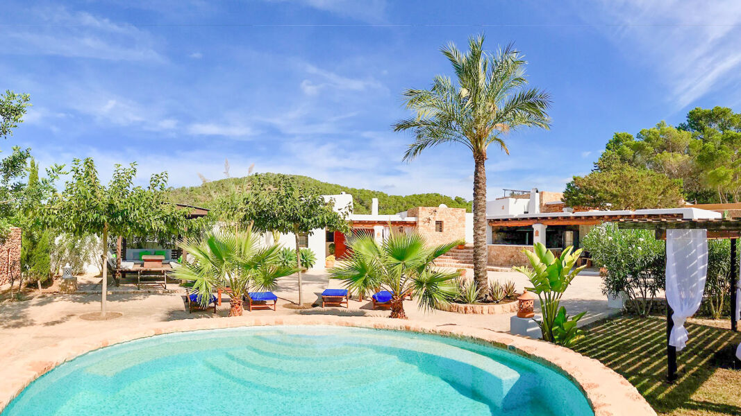 Large oval swimming pool outside Villa Payesa with beautiful Ibizan palm trees