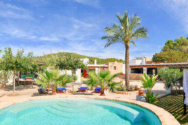 Large oval swimming pool outside Villa Payesa with beautiful Ibizan palm trees
