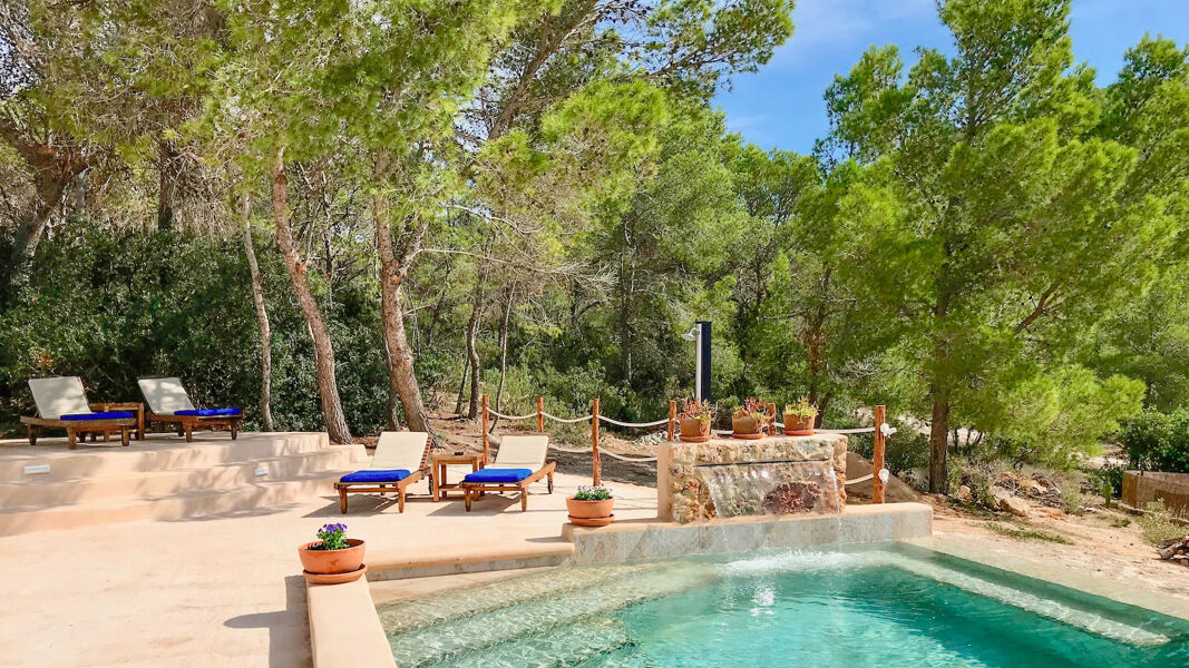 Swimming pool at Villa Payesa with beautiful Ibizan flora