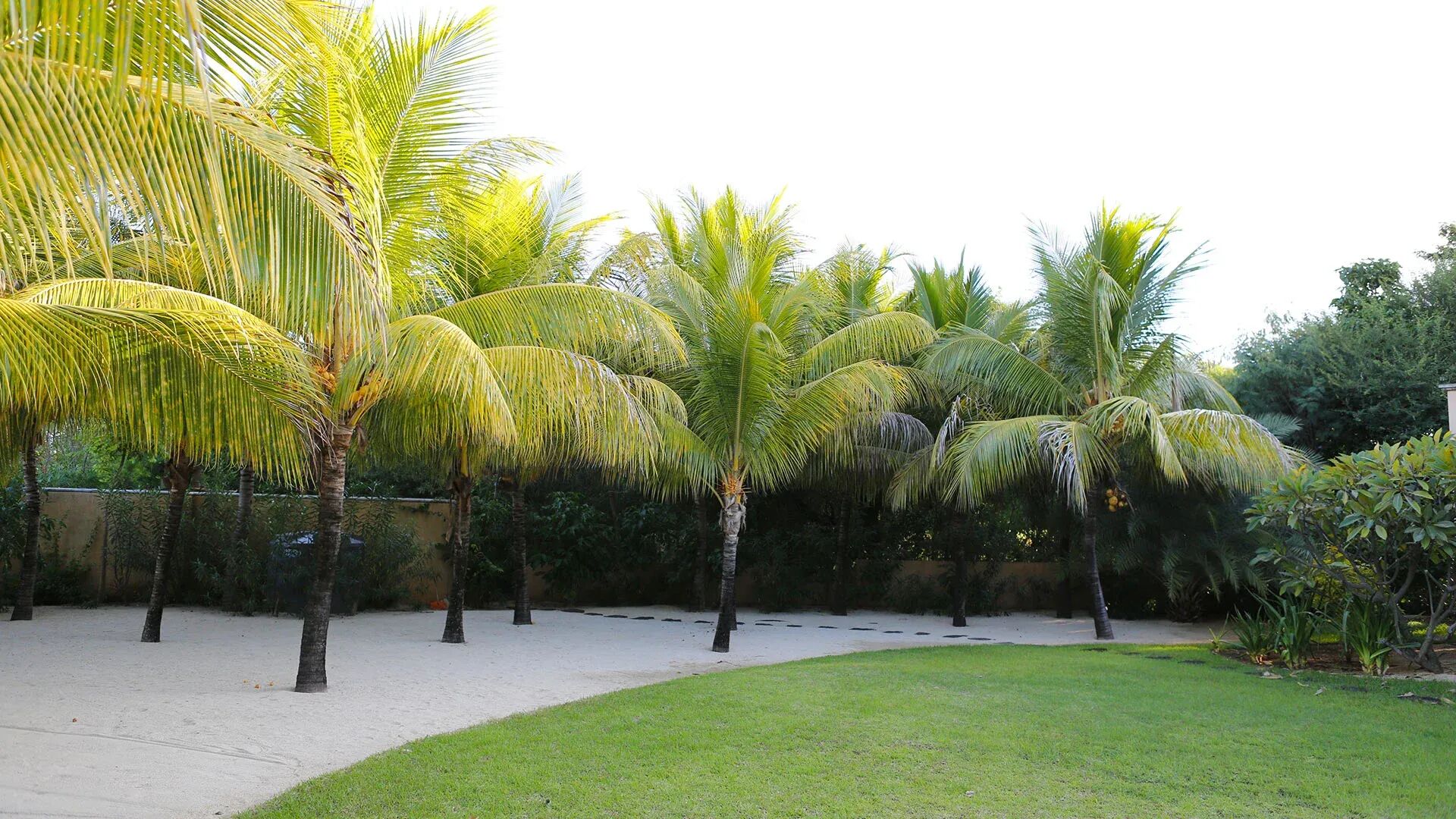 Villa Tamalia Gallary Image 4
