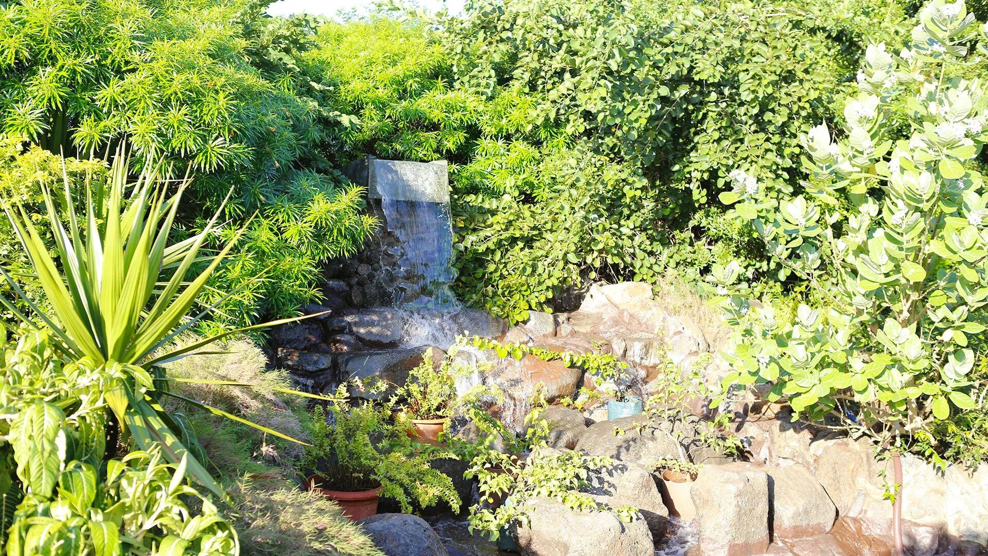 Villa Tamalia Gallary Image 2