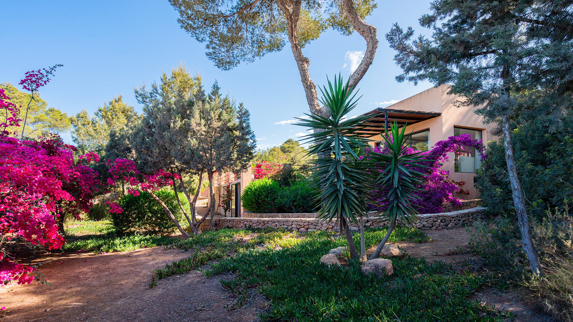 The gardens in Villa Tiramar filled with deep greens and rich pops of colour