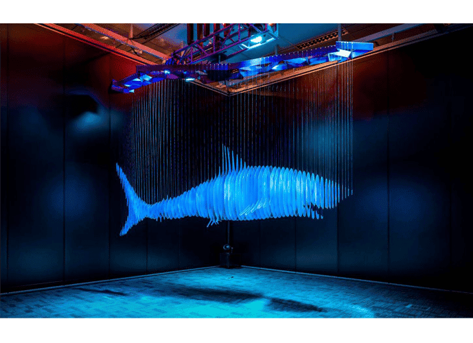 Li Jiwei Don't Copy II Installation