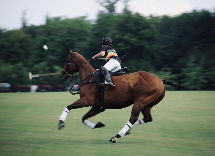 Action shot of a polo player in the middle of a game