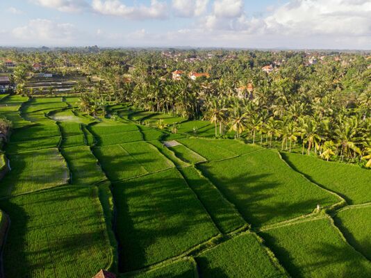 south-east-asia-main-image