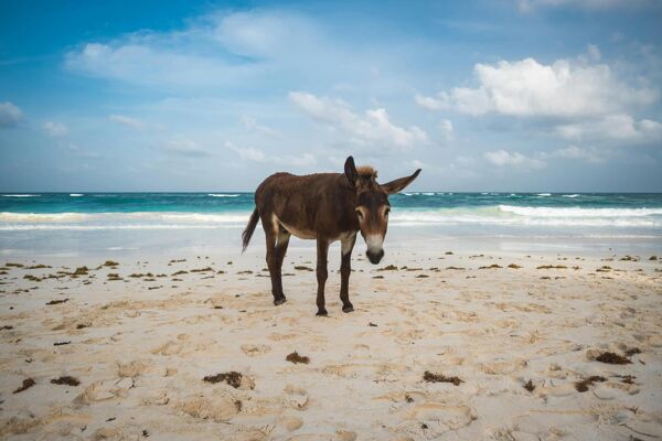 tulum-main-image