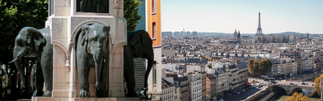 Aerial views of Chambery and Paris on a private jet charter