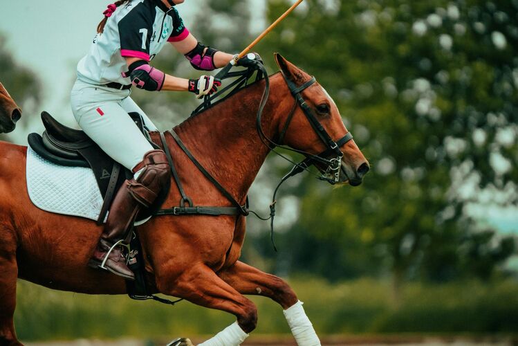 Polo player on his pony during a chukka