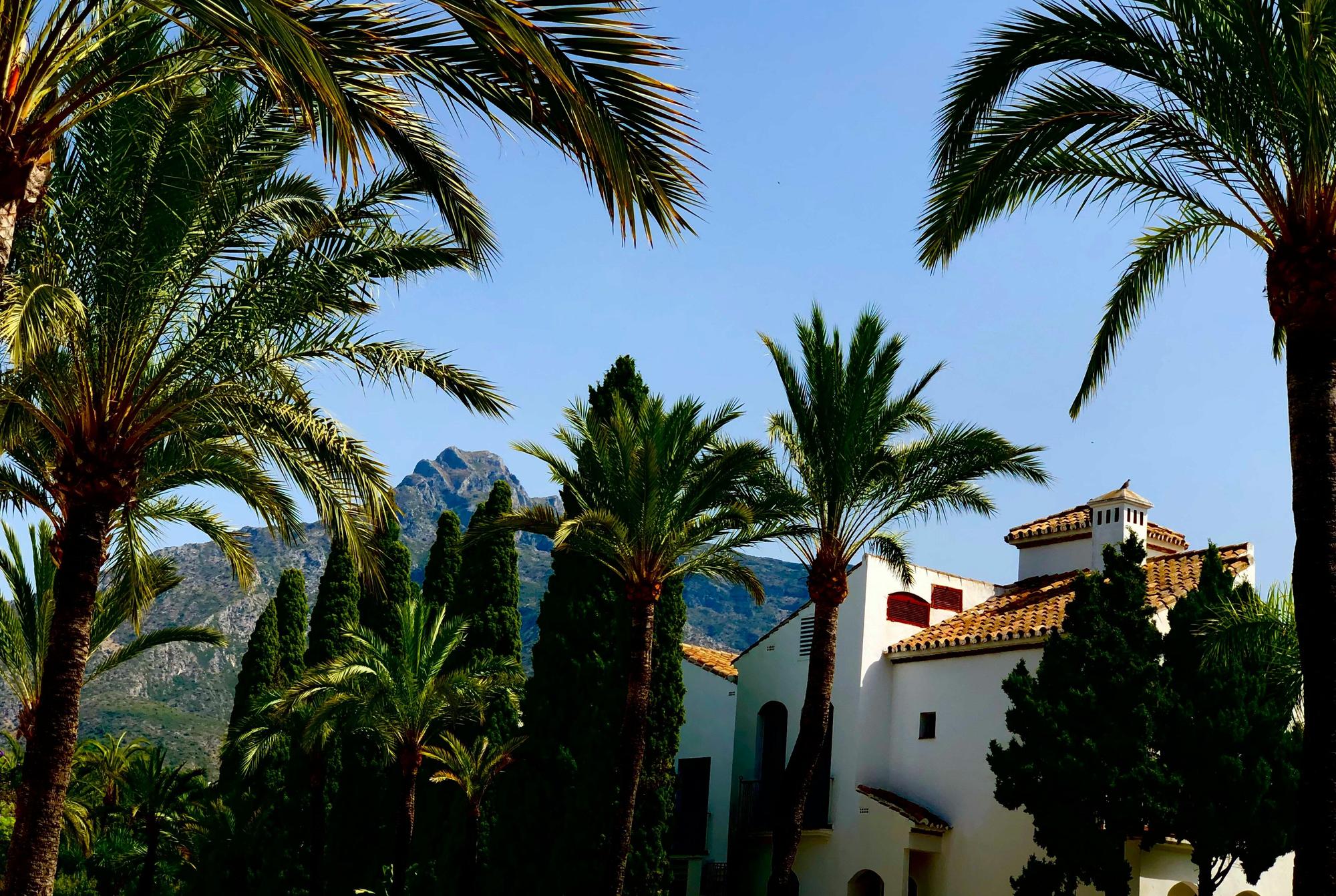 Palm trees swaying in the front of whitewashed homes in Marbella