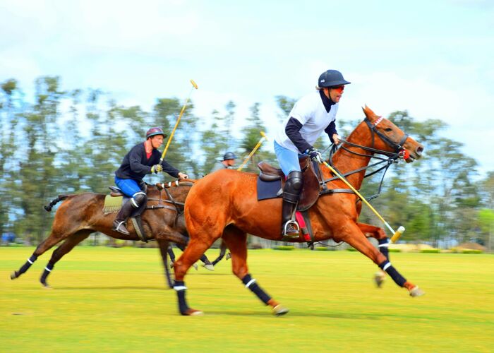 Two polo players on their ponies during a match