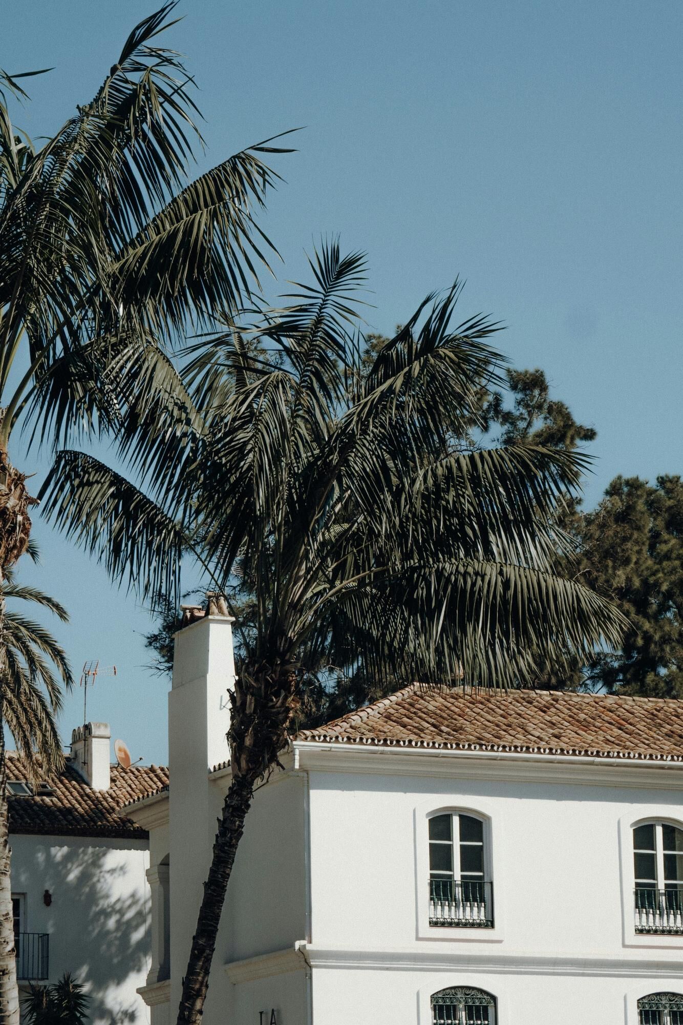 Clear blue skies above a villa in Marbella with palm trees in the foreground