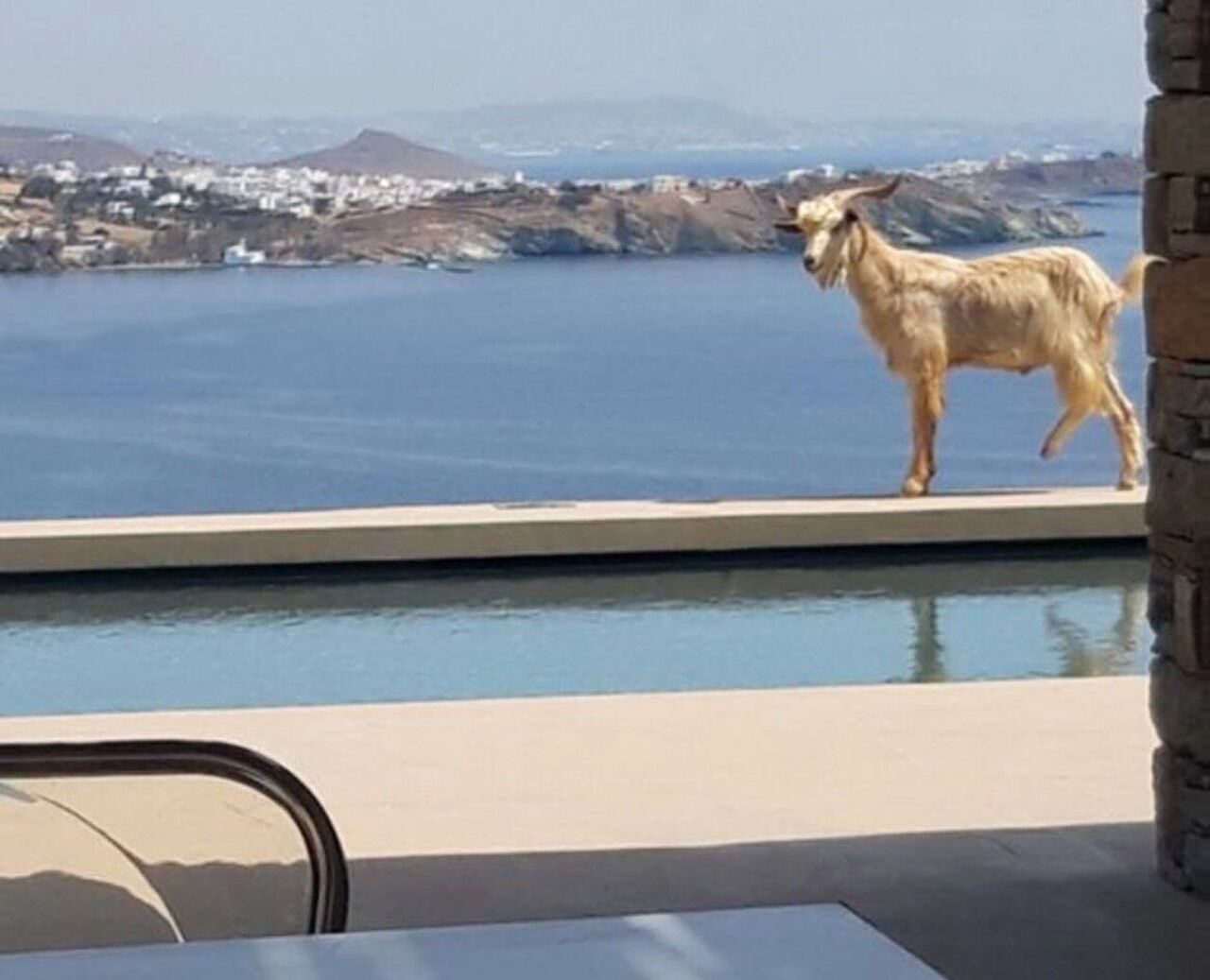 villa-white-goat-image-6