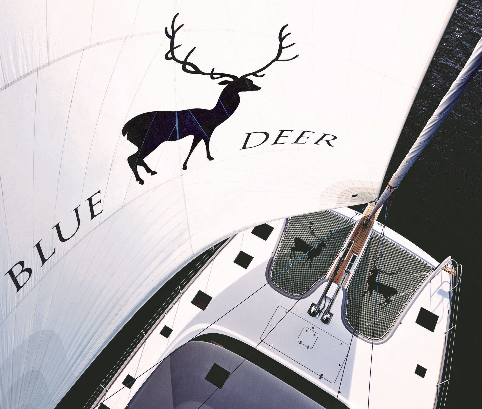 blue-deer-image-2