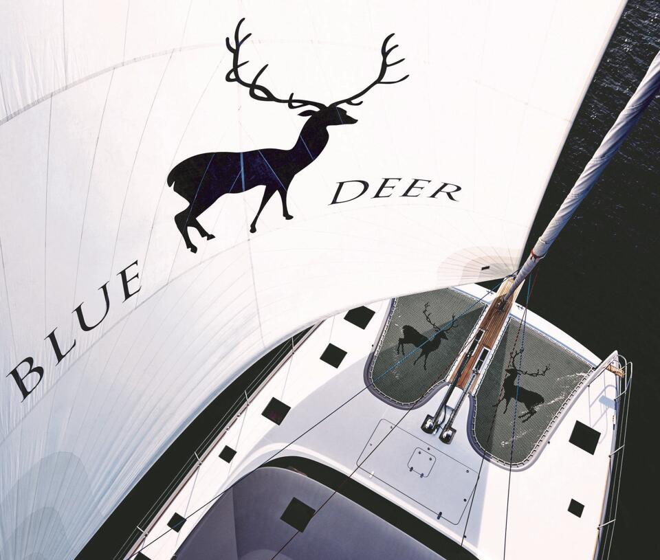 Blue Deer Gallery Image 2