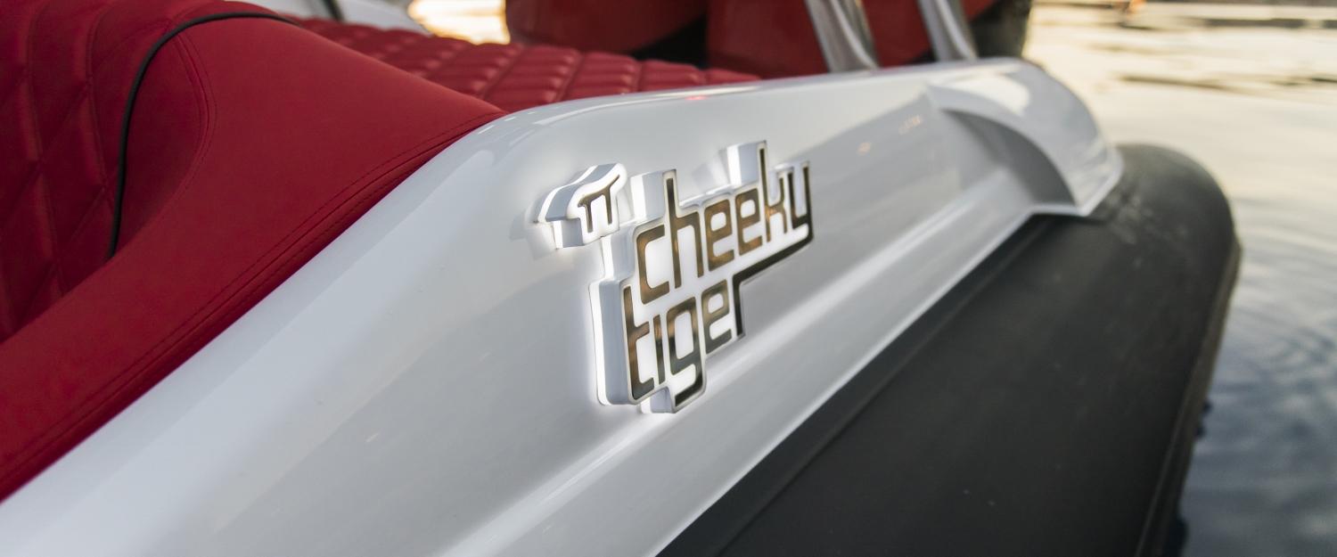 cheeky-tiger-image-5