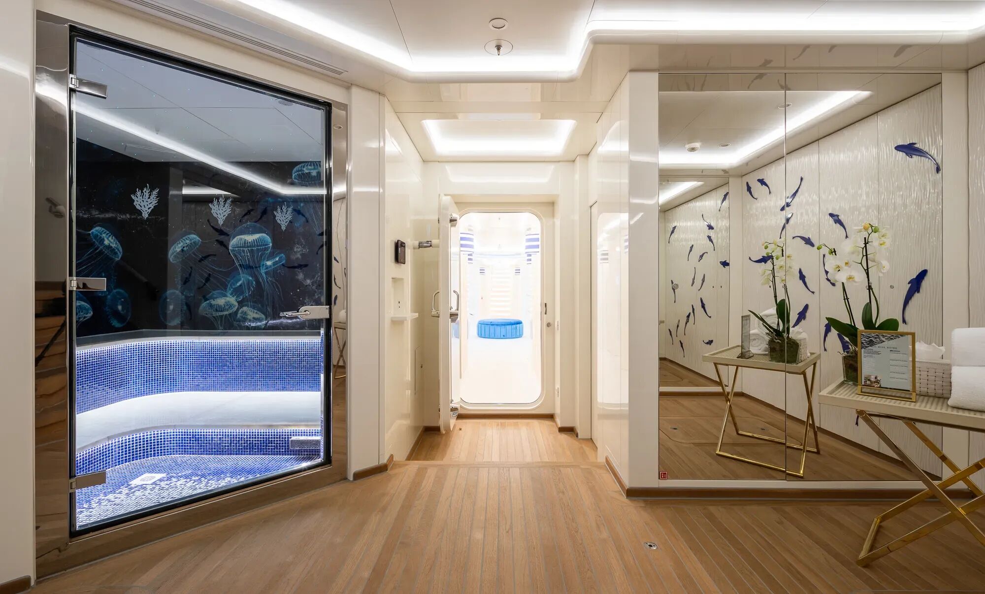 Coral Ocean Gallery Image 4