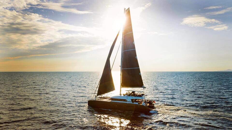 La Gatta Gallery Image 3