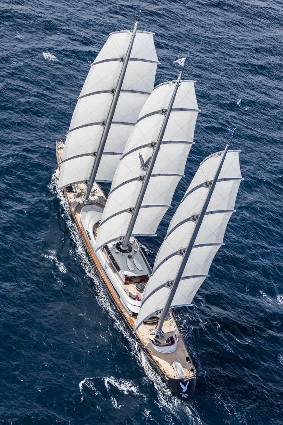 Maltese Falcon Gallery Image 4