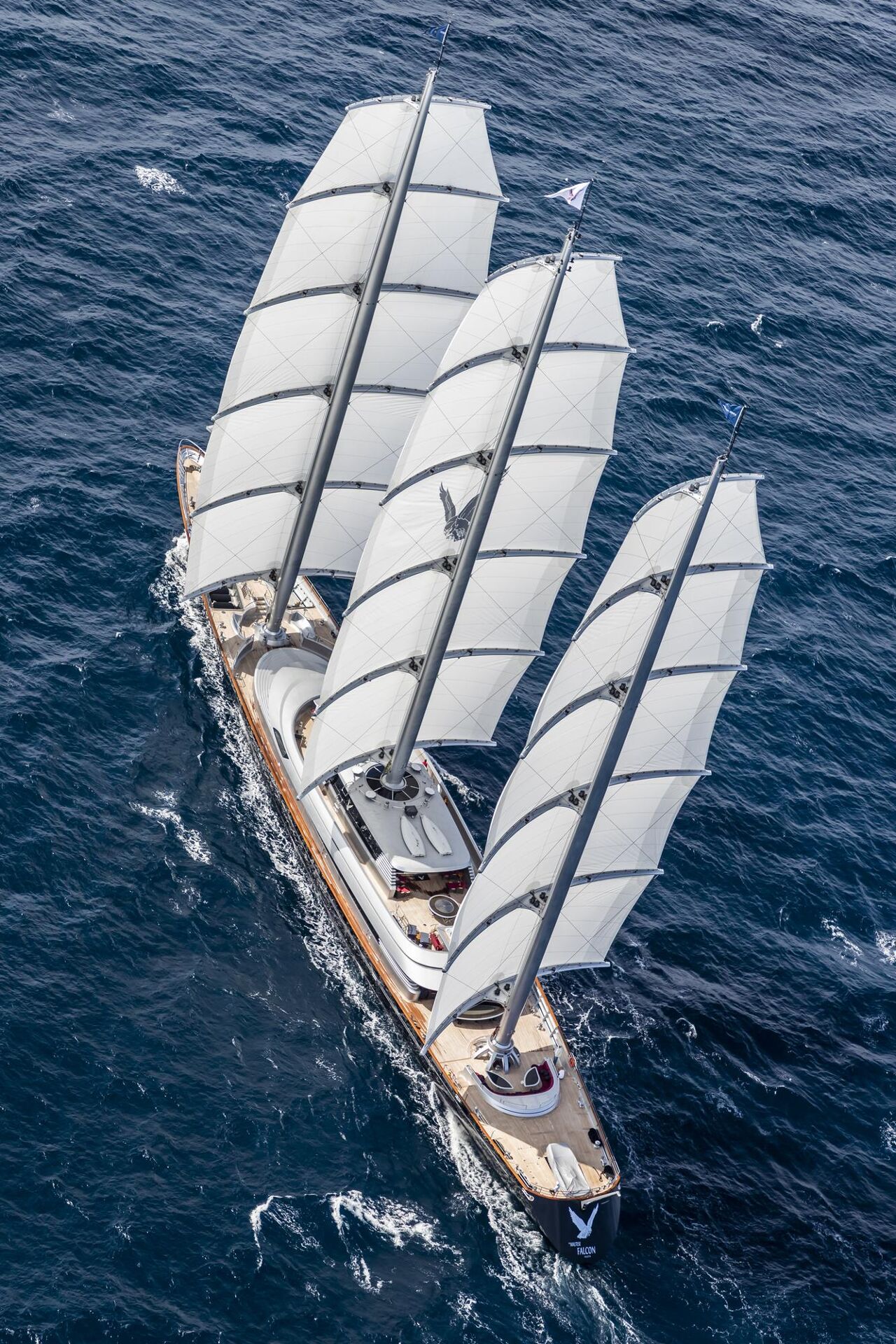 maltese-falcon-image-4