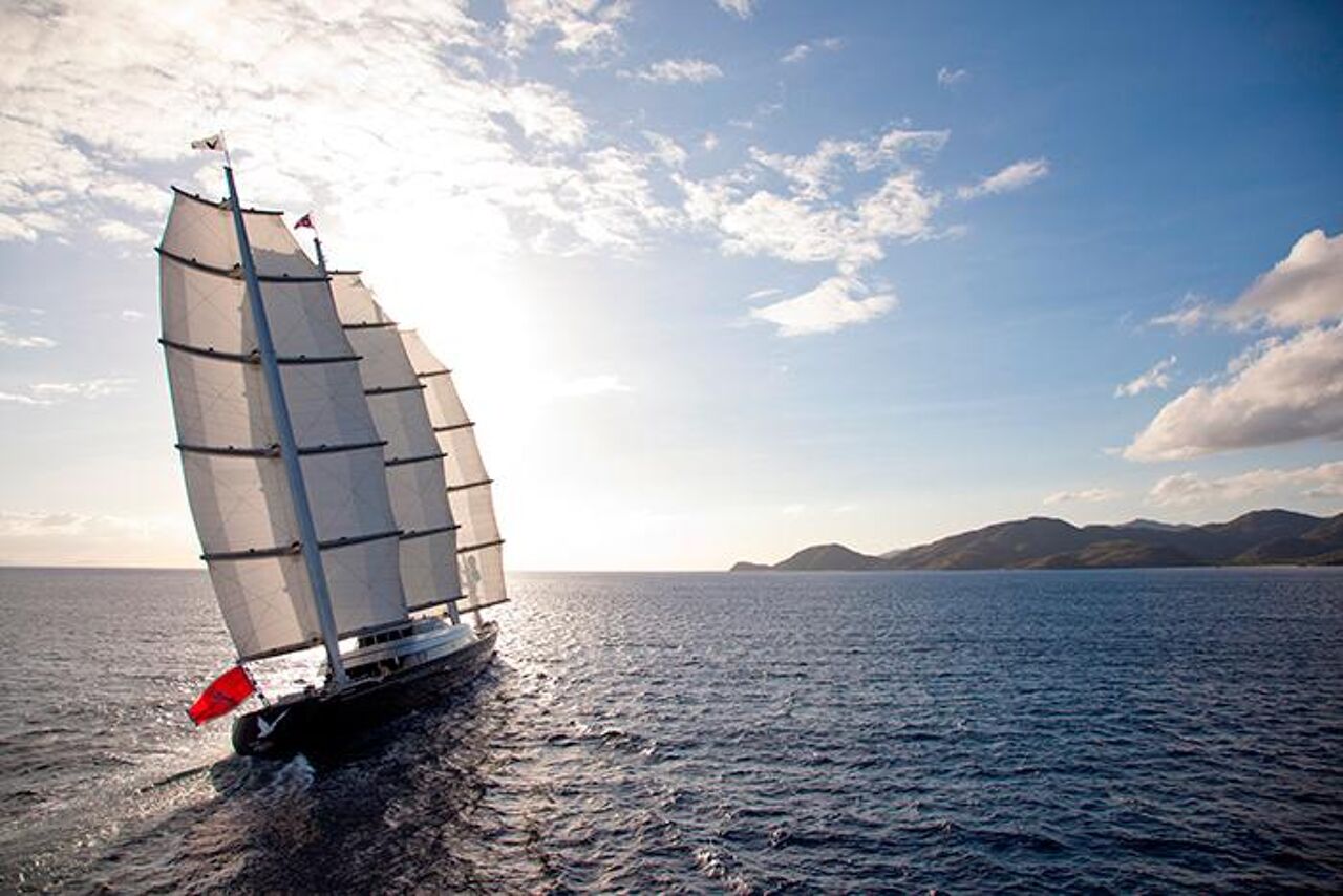 maltese-falcon-image-5