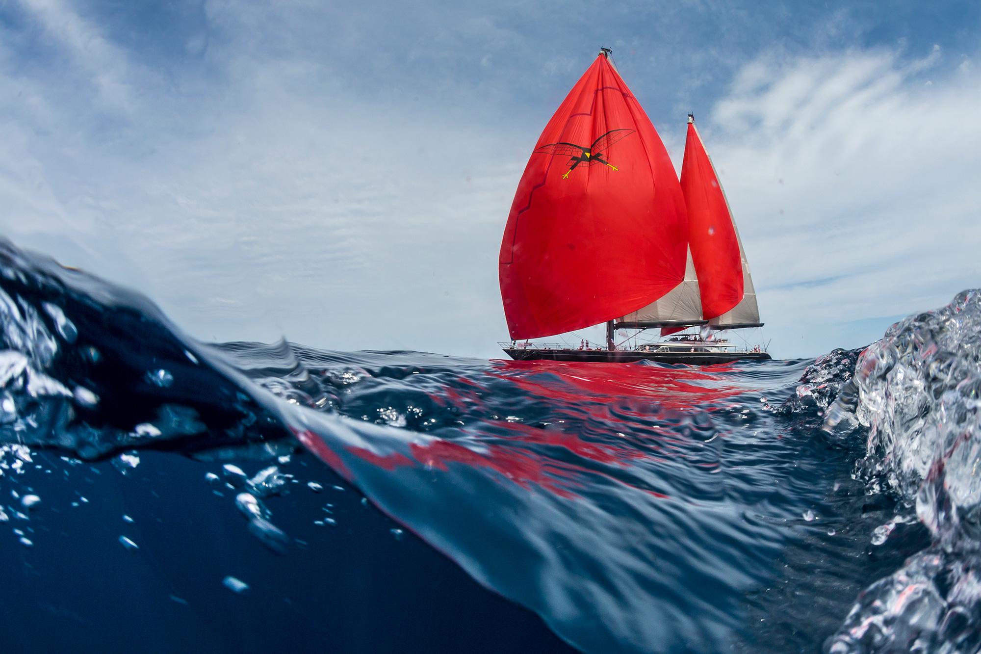 seahawk-image-7